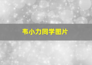 韦小力同学图片