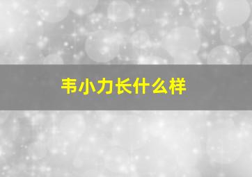 韦小力长什么样