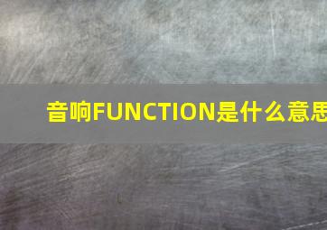 音响FUNCTION是什么意思