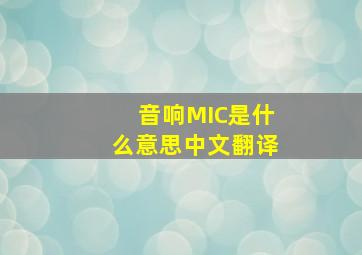 音响MIC是什么意思中文翻译