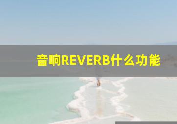 音响REVERB什么功能