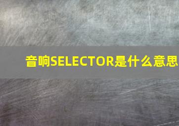 音响SELECTOR是什么意思