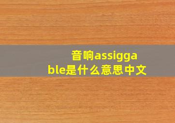 音响assiggable是什么意思中文