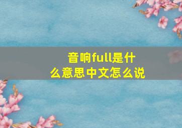 音响full是什么意思中文怎么说