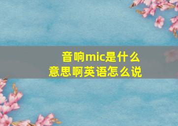 音响mic是什么意思啊英语怎么说