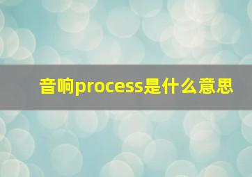 音响process是什么意思