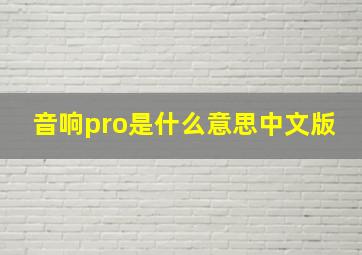 音响pro是什么意思中文版