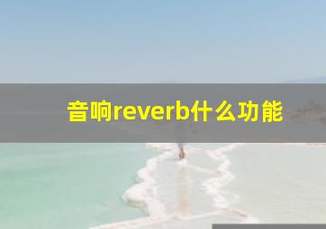 音响reverb什么功能