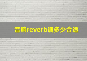 音响reverb调多少合适