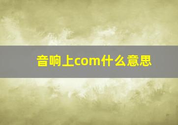 音响上com什么意思