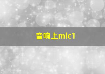 音响上mic1