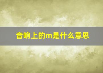 音响上的m是什么意思