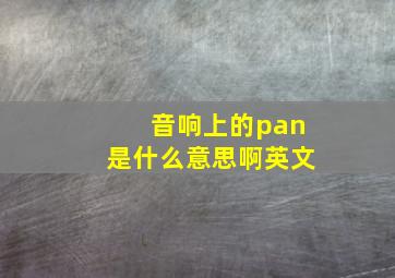 音响上的pan是什么意思啊英文