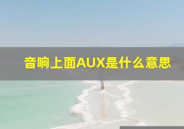 音响上面AUX是什么意思