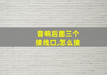 音响后面三个接线口,怎么接