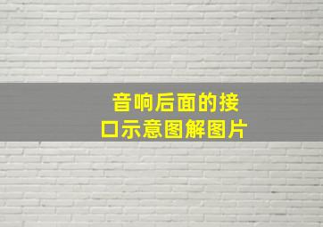 音响后面的接口示意图解图片