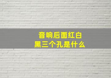 音响后面红白黑三个孔是什么