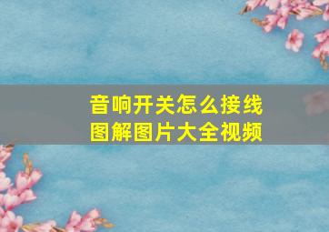 音响开关怎么接线图解图片大全视频