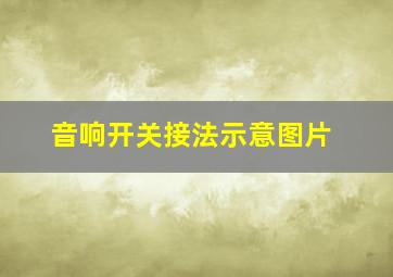 音响开关接法示意图片