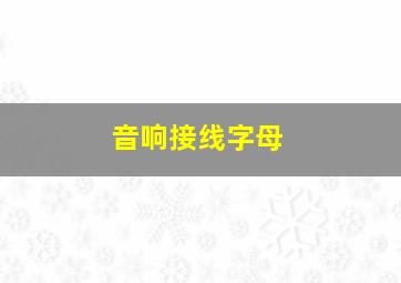 音响接线字母