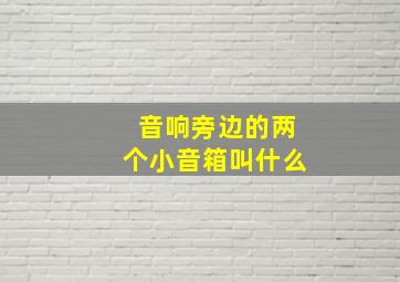 音响旁边的两个小音箱叫什么