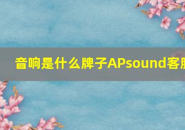 音响是什么牌子APsound客服