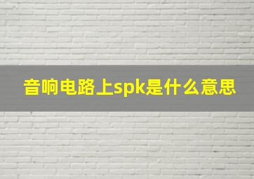 音响电路上spk是什么意思