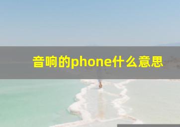 音响的phone什么意思