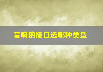 音响的接口选哪种类型