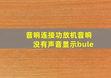 音响连接功放机音响没有声音显示bule