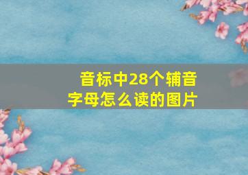 音标中28个辅音字母怎么读的图片