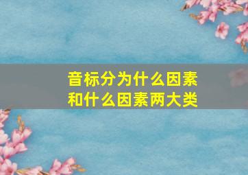 音标分为什么因素和什么因素两大类