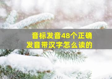 音标发音48个正确发音带汉字怎么读的