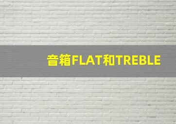 音箱FLAT和TREBLE