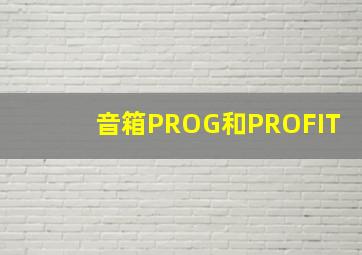 音箱PROG和PROFIT