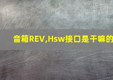 音箱REV,Hsw接口是干嘛的