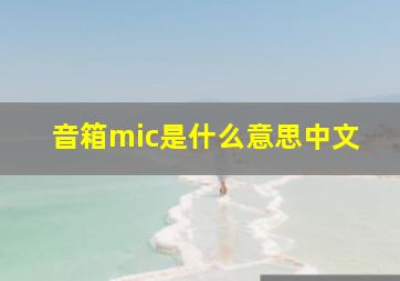 音箱mic是什么意思中文