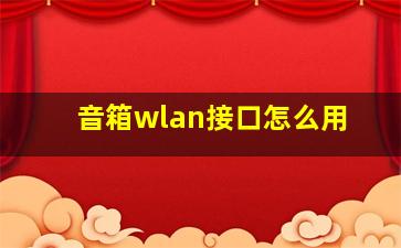 音箱wlan接口怎么用