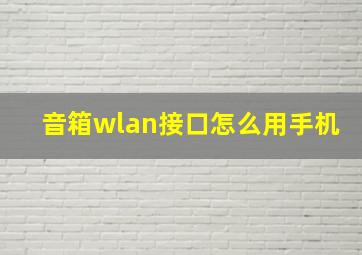 音箱wlan接口怎么用手机