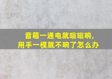 音箱一通电就嗡嗡响,用手一模就不响了怎么办