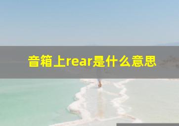 音箱上rear是什么意思