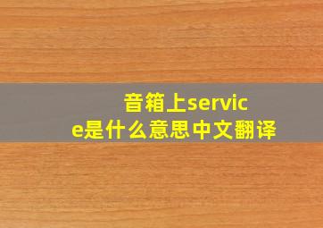 音箱上service是什么意思中文翻译