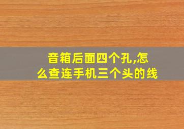 音箱后面四个孔,怎么查连手机三个头的线