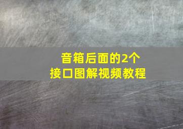 音箱后面的2个接口图解视频教程