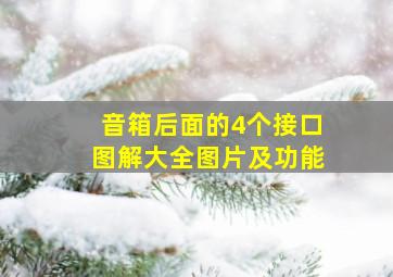 音箱后面的4个接口图解大全图片及功能