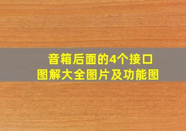 音箱后面的4个接口图解大全图片及功能图