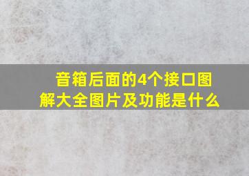 音箱后面的4个接口图解大全图片及功能是什么