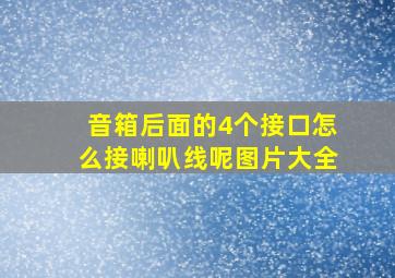 音箱后面的4个接口怎么接喇叭线呢图片大全