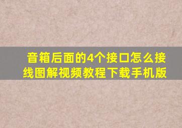 音箱后面的4个接口怎么接线图解视频教程下载手机版