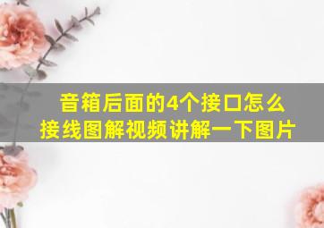 音箱后面的4个接口怎么接线图解视频讲解一下图片